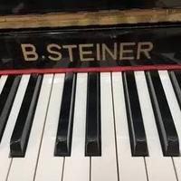 Pianoforte verticale Steiner 