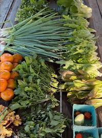 Terreno agricolo