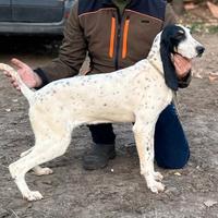 Gascogne Saintongeois