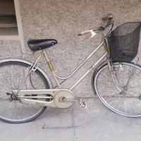 donna 26  U.DEI con cestino pronta all'uso 