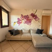 Divano Dondi Salotti grigio in tessuto -