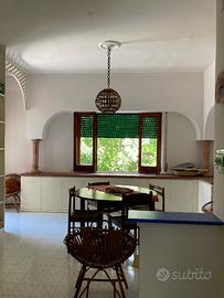 Rif 165 appartamento con terrazzo