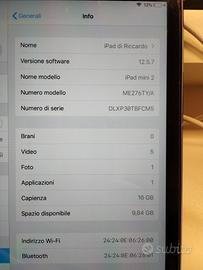 iPad Mini 2