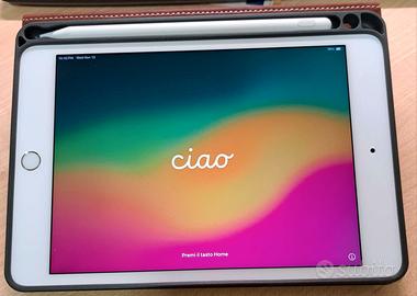 iPad mini 5 (2019) 7,9" con custodia e penna
