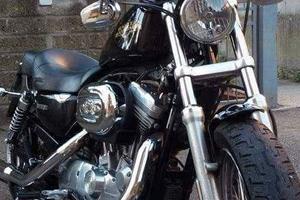 Harley Davidson SportSter Low 883