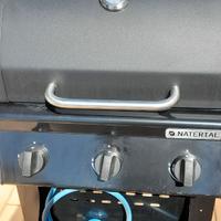Barbecue a gas