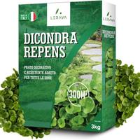 LERAVA® Dicondra semi [Non Richiede Taglio] - 300m