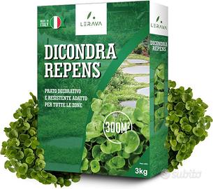 LERAVA® Dicondra semi [Non Richiede Taglio] - 300m