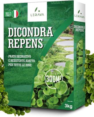LERAVA® Dicondra semi [Non Richiede Taglio] - 300m
