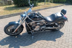 Harley-Davidson V-Rod