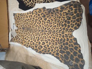 CAVALLI  E  CALVIN KLEIN