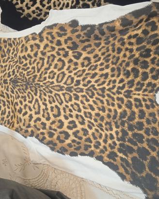 CAVALLI  E  CALVIN KLEIN