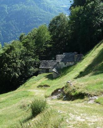 Casa Indipendente Trasquera [LorTra1119VRG]