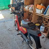 Honda Wallaroo PK50
