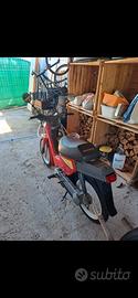 Honda Wallaroo PK50