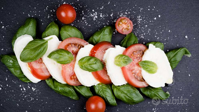 Cuoco Mense Aziendali Gastronomie Scuole RSA S
