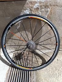 Cerchio mavic ksyrium