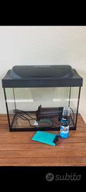 Acquario in vetro per pesci