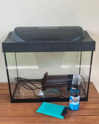 Acquario in vetro per pesci