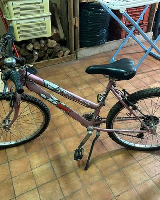 Mountain bike donna SBK Focus Lady 26”