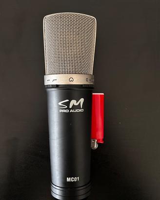 Microfono SM Pro Audio MC 01
