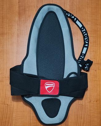 paraschiena dainese x ducati