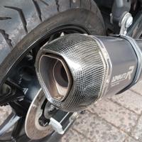 Scarico Dominator Suzuki V Strom 650 2017 - 2025 