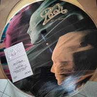 Vinili picture disc