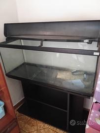 Aquario 