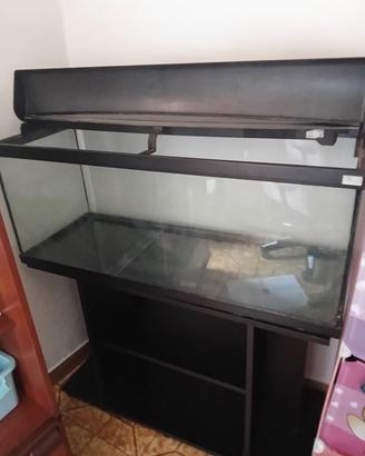 Aquario 