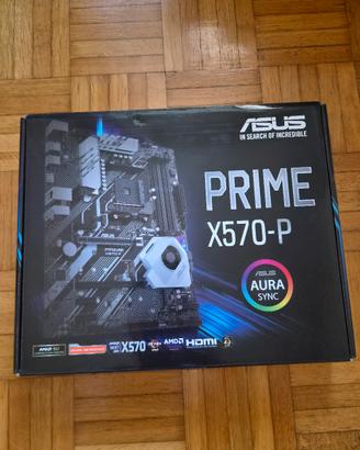 Asus Prime X570-P scheda madre 