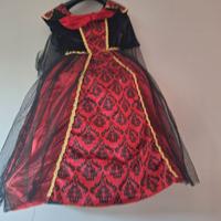 Abito carnevale o per feste in maschera