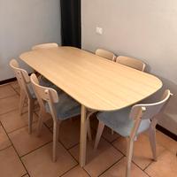 Tavolo e Sedie IKEA