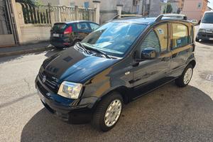 panda natural power 2010