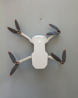 Dji mini se