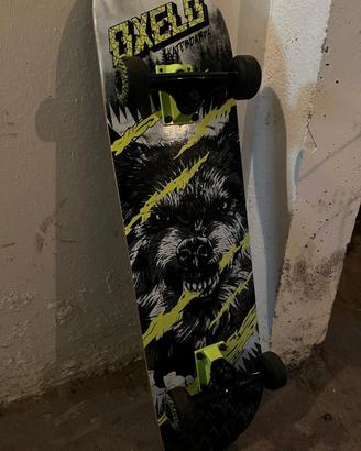 skateboard 