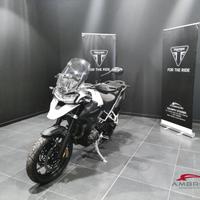 TRIUMPH Tiger GT PRO