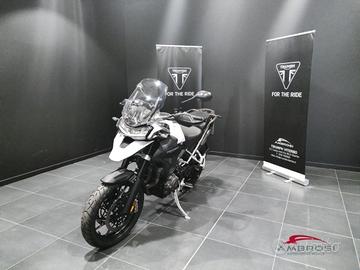 TRIUMPH Tiger GT PRO