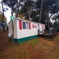 Casa Mobile CIPRO 800*300