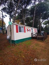 Casa Mobile CIPRO 800*300