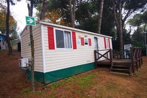 Casa Mobile CIPRO 800*300