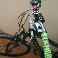 Bici professionale