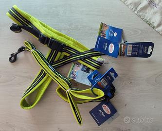 Guinzaglio collare pettorina cane