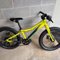 Scott Roxter 20” bambino