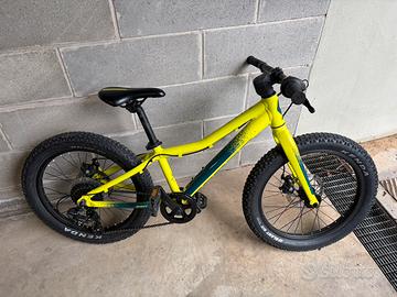 Scott Roxter 20” bambino