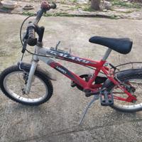 Bicicletta Bambino 