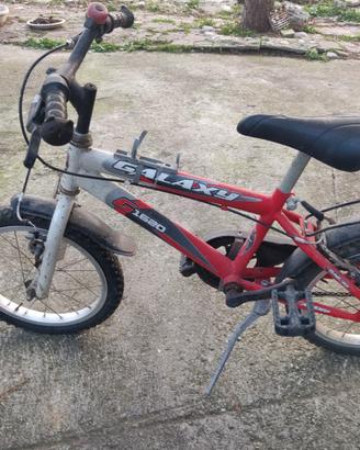 Bicicletta Bambino 