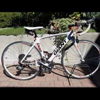 Giant tcr M