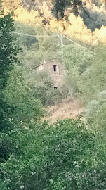 Terreno con Rustico in Liguria