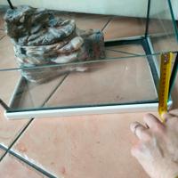 tartarughiera in vetro